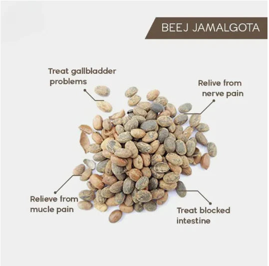 Jamalgota Ayurvedic Hair Growth Powder Buy 1 Get 1 Free🌿